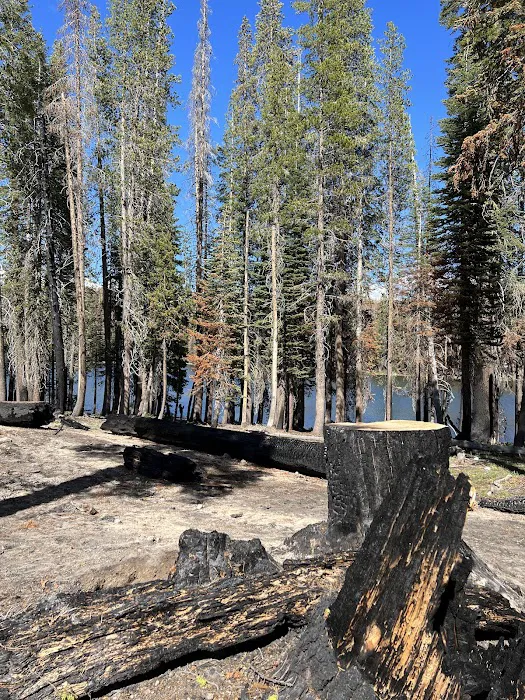 Summit Lake Campground Picture 4