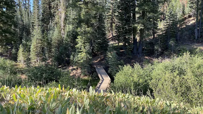 Summit Lake Campground Picture 2