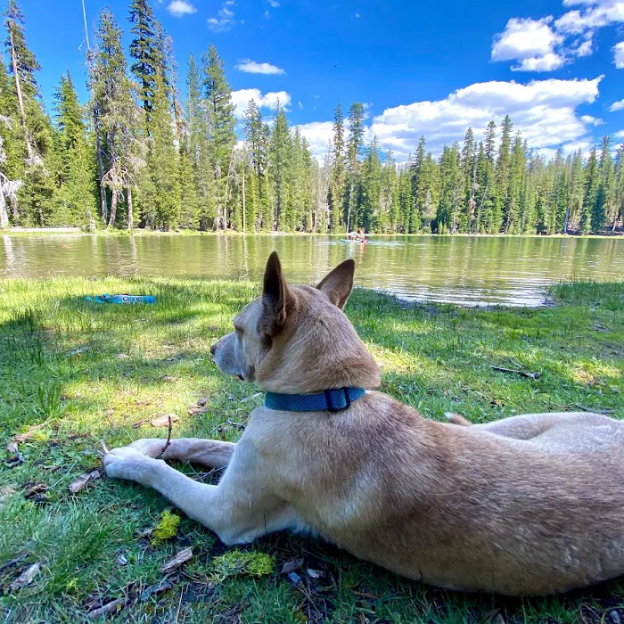 Summit Lake Campground Picture 8