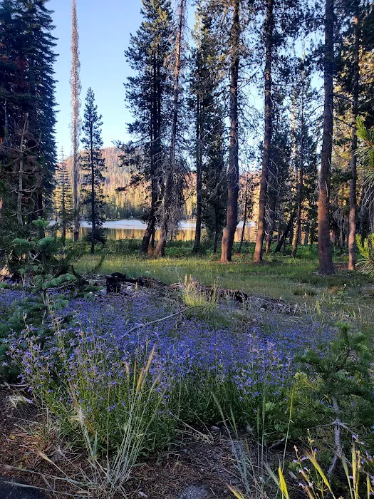 Summit Lake Campground Picture 10