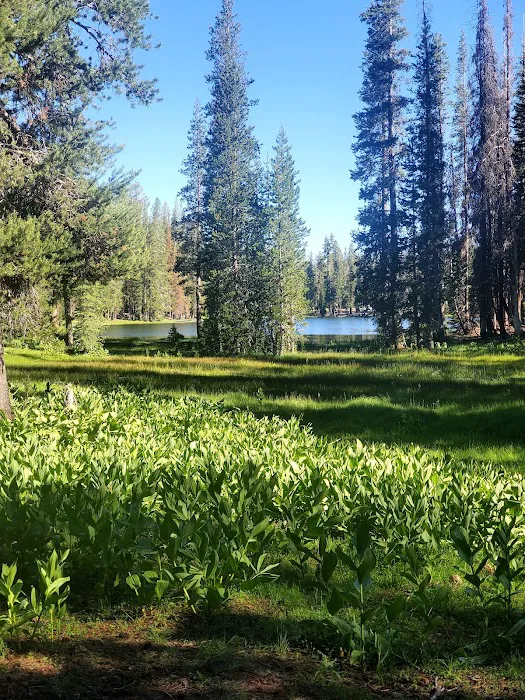 Summit Lake Campground Picture 9