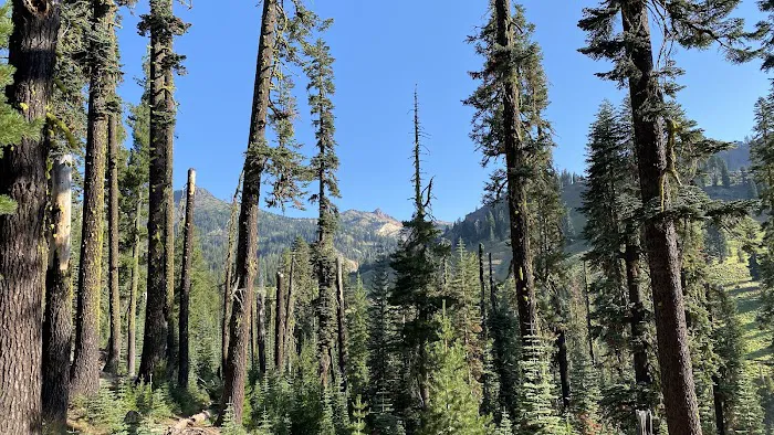Summit Lake Campground Picture 3