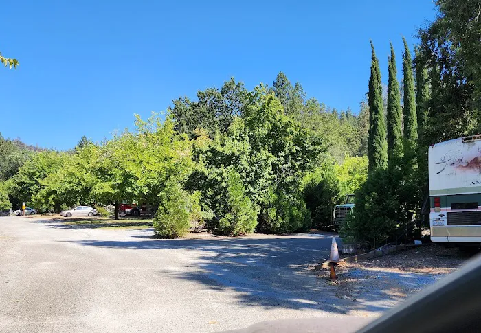 Fawndale Oaks RV Park Picture 8