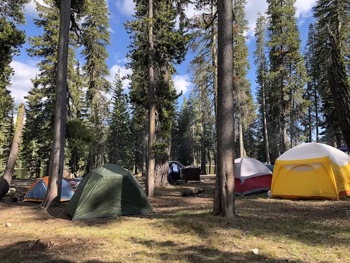 Summit Lake North Campground Picture 10