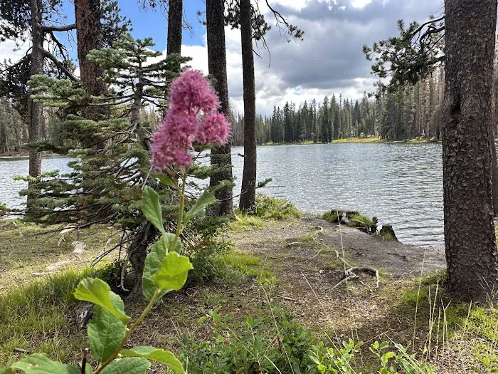 Summit Lake North Campground Picture 6