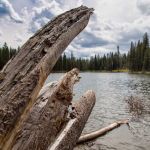 Summit Lake North Campground
