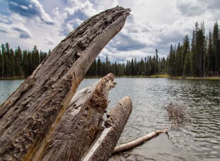 Summit Lake North Campground
