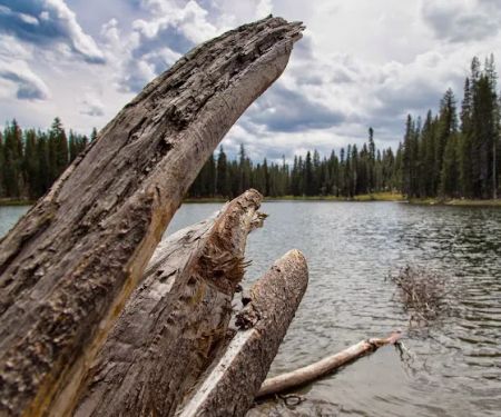 Summit Lake North Campground