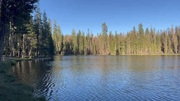Summit Lake North Campground Picture 2
