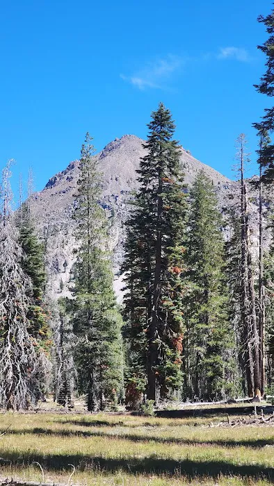 Lost Creek Group Campground Picture 6