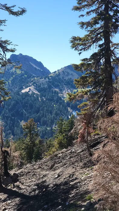 Lost Creek Group Campground Picture 5