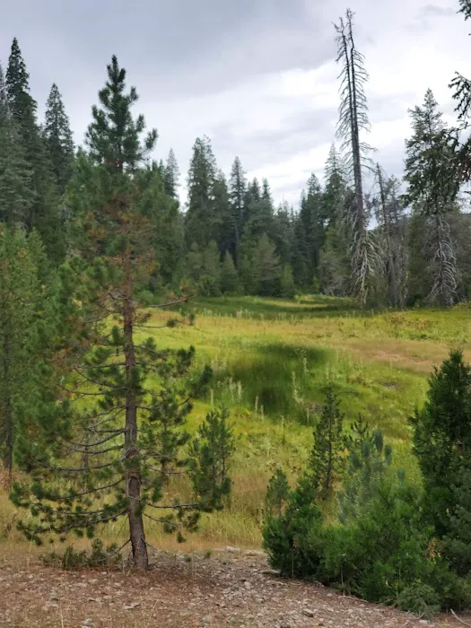 Juniper Lake Campground Picture 4