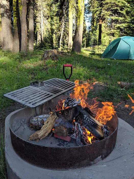 Yuba Pass Campground Picture 5