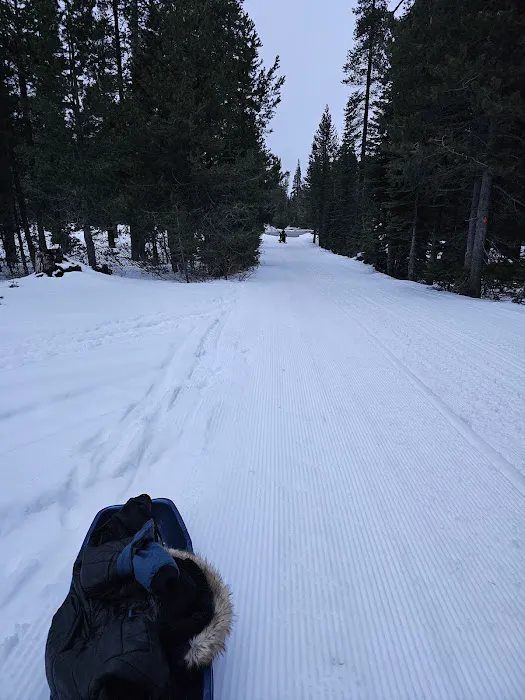 Yuba Pass Campground Picture 2