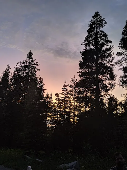 Yuba Pass Campground Picture 3