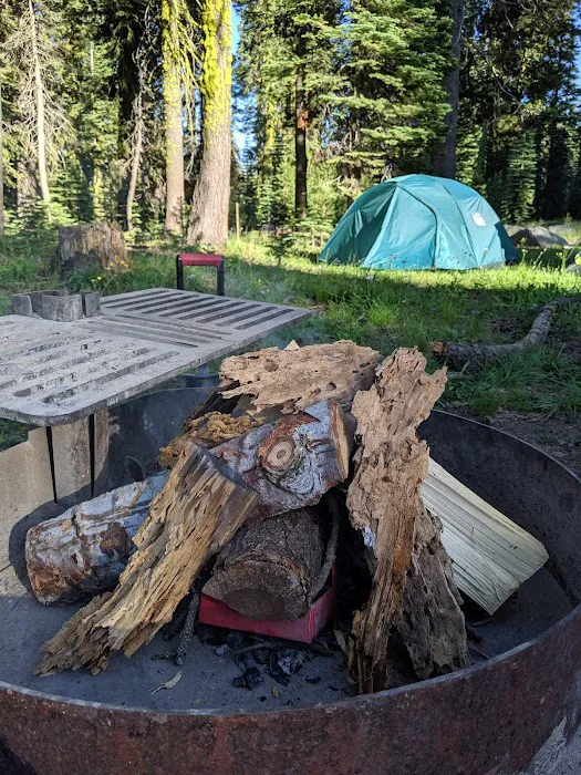 Yuba Pass Campground Picture 6