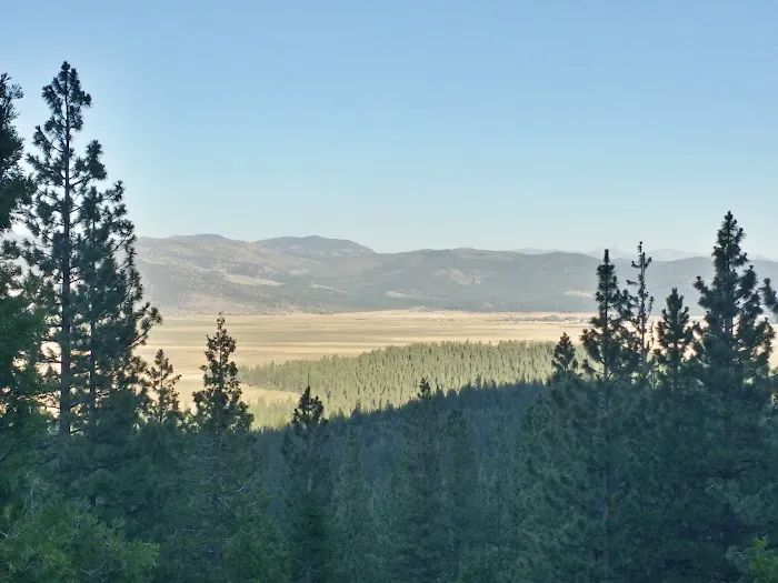 Yuba Pass Campground Picture 1
