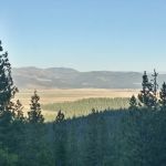 Yuba Pass Campground