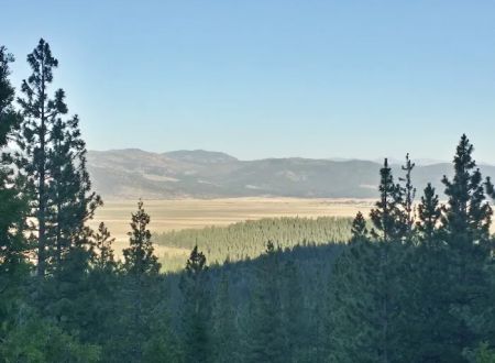 Yuba Pass Campground