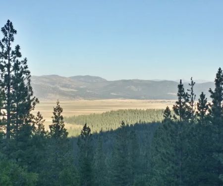 Yuba Pass Campground