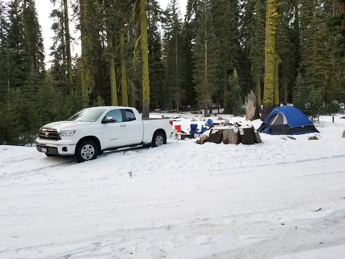 Yuba Pass Campground Picture 9