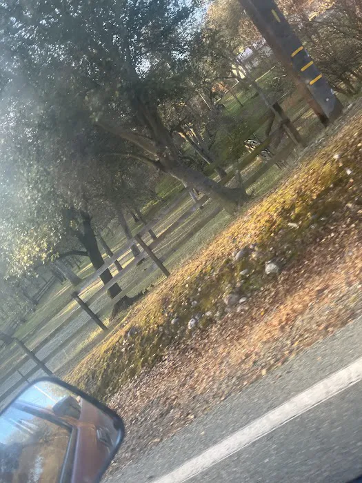 Valley Springs Mobile Home Park Picture 2