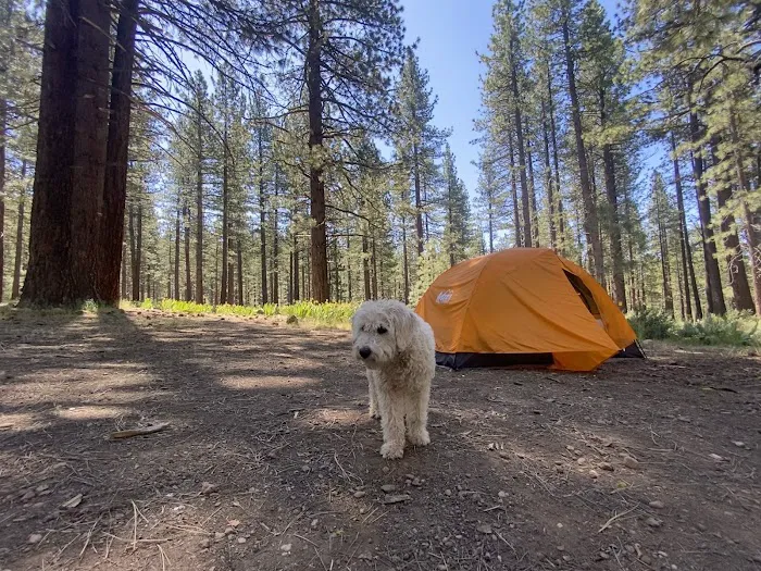 Boca Spring Campground Picture 5