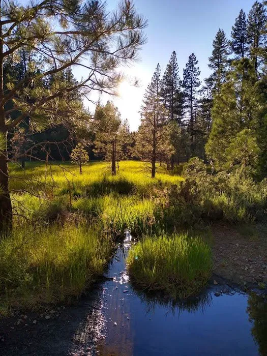 Boca Spring Campground Picture 6