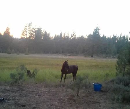 Boca Spring Campground