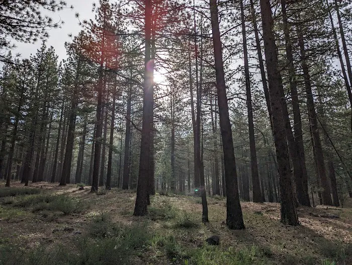 Boca Spring Campground Picture 10