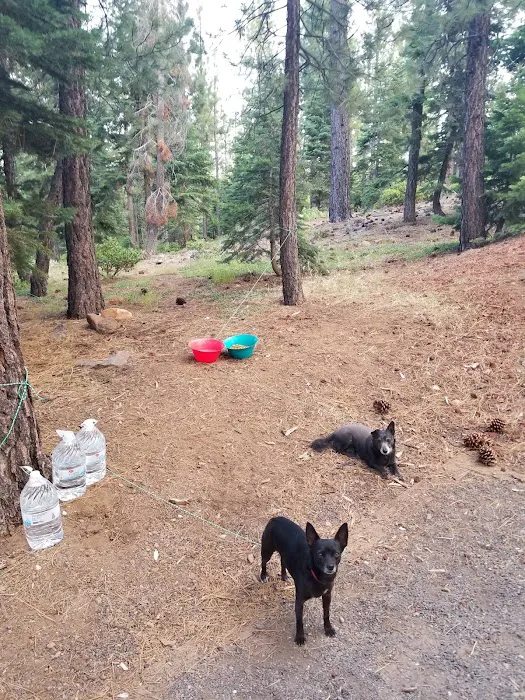 Crystal Peak Campground Picture 6
