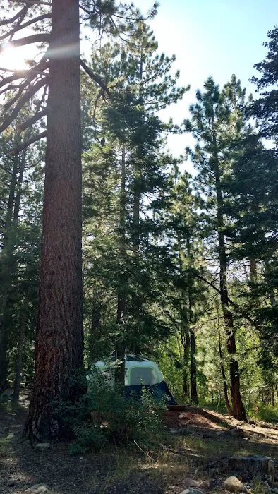 Crystal Peak Campground Picture 1