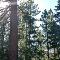 Crystal Peak Campground ico
