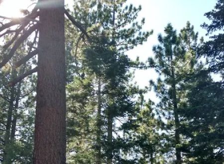 Crystal Peak Campground