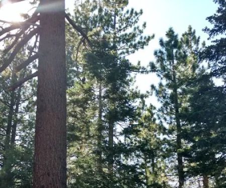 Crystal Peak Campground