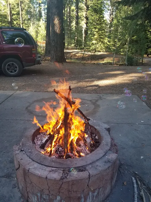 Lookout Campground Picture 3