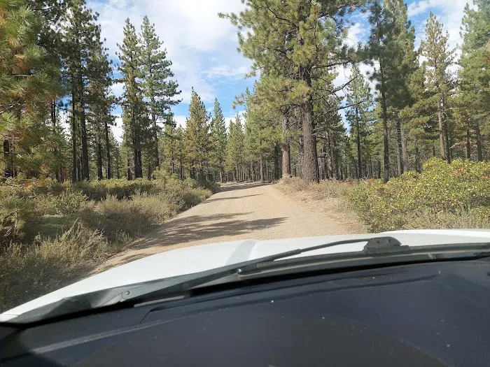 Lookout Campground Picture 6