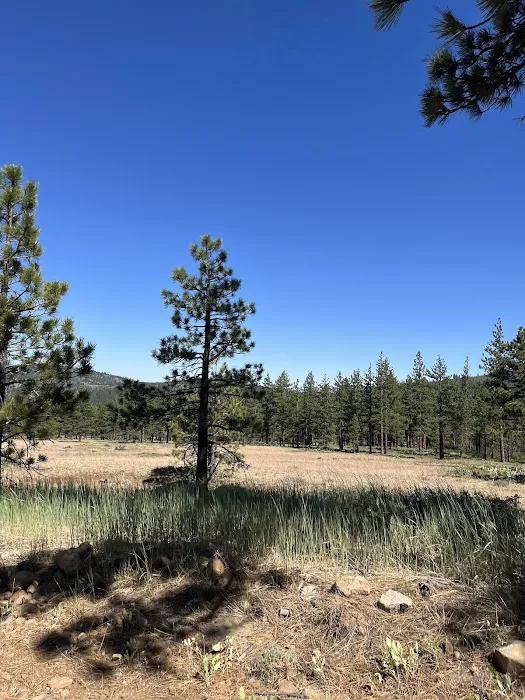Lookout Campground Picture 5
