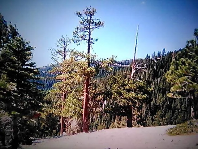 Lookout Campground Picture 9