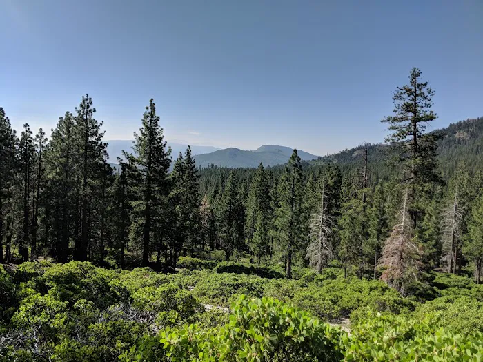 Lookout Campground Picture 2