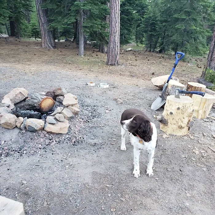 Lookout Campground Picture 10