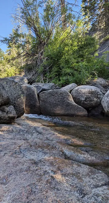 Big Meadow Campground Picture 4