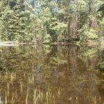 Big Meadow Campground