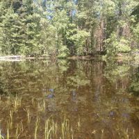 Big Meadow Campground ico