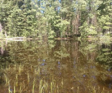 Big Meadow Campground