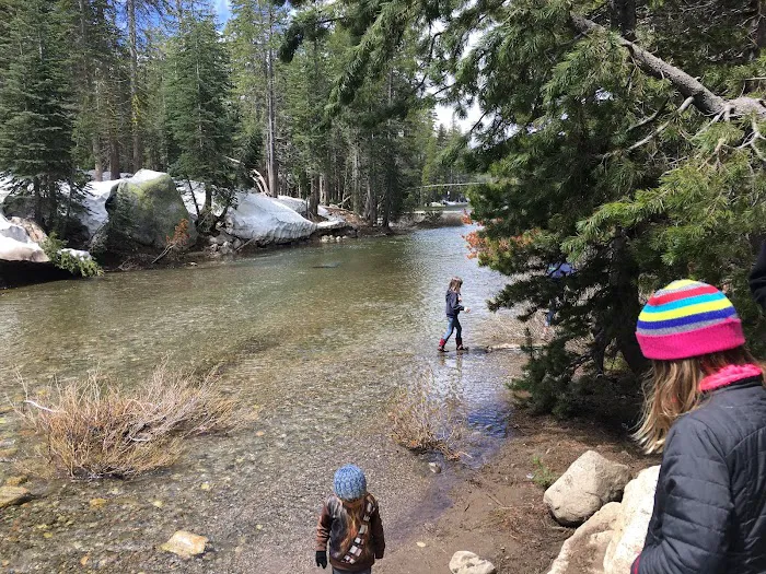 Big Meadow Campground Picture 9