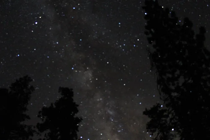 Big Meadow Campground Picture 3