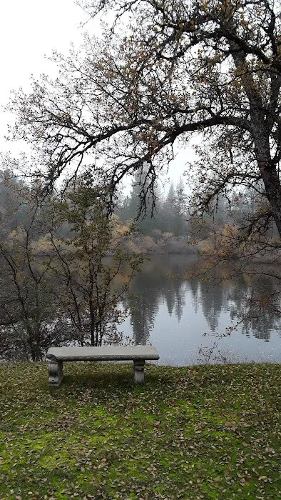 Beach Lake Village Picture 1