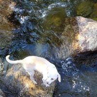 Crystal Springs Campground ico