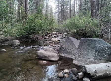Hot Springs Campground